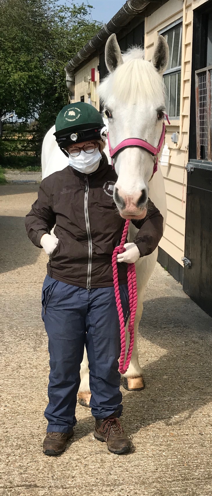 Fortunately the horses really don't seem to mind the gloves or masks.  It makes me feel like a very unfriendly vet, so sorry but I will be smiling under that mask some of the time!